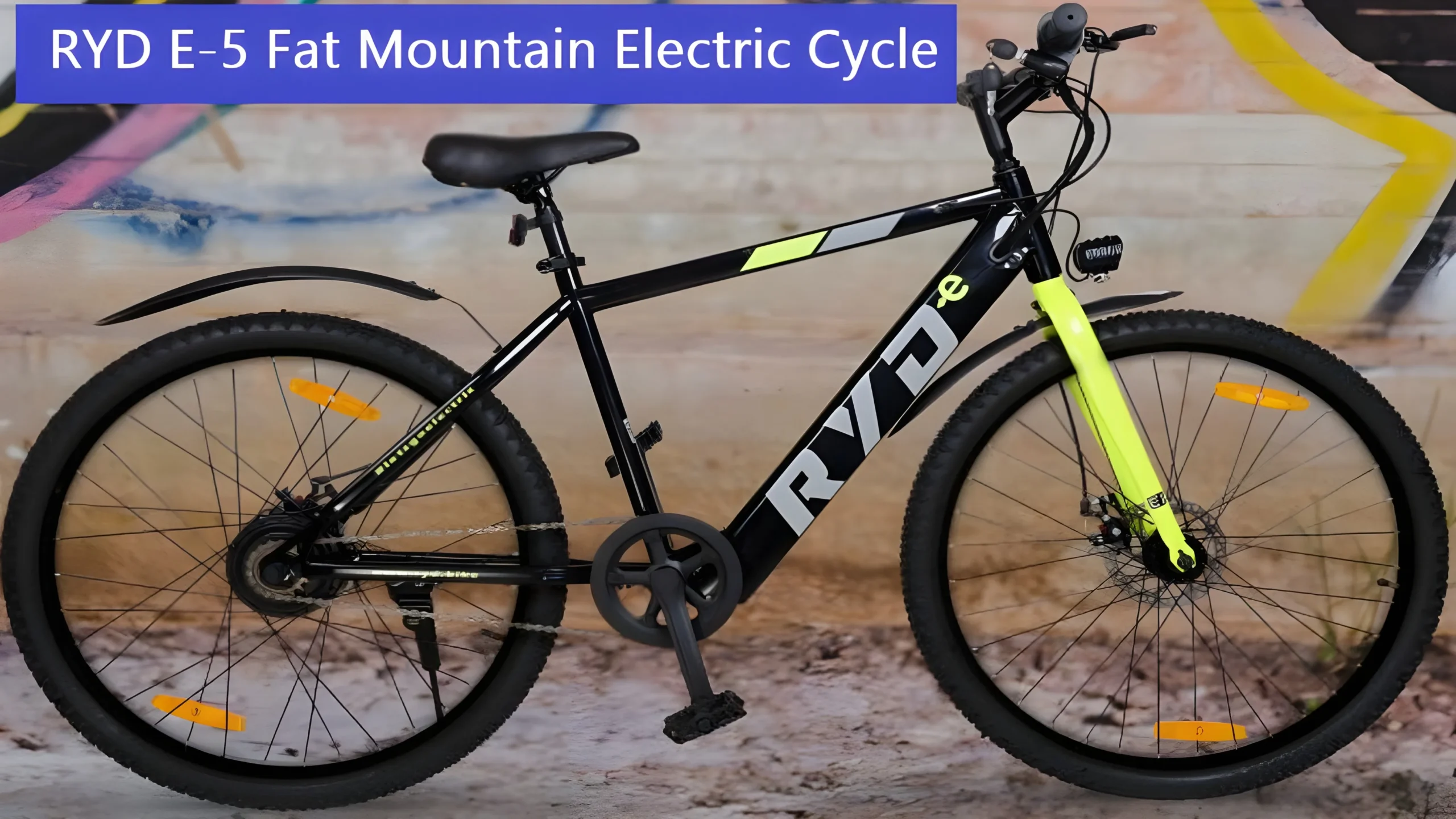 RYD E-5 Fat Mountain Electric Cycle