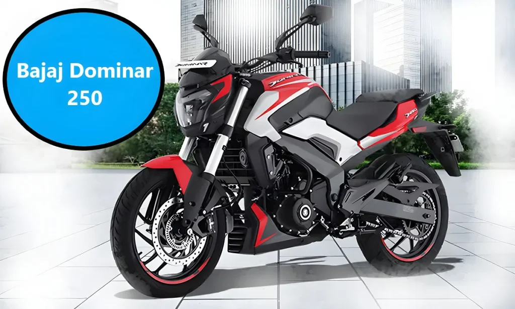 Bajaj Dominar 250 बाइक में है 248.77 cc का दमदार इंजन ,देखे टॉप स्पीड और माइलेज क्या होगा 2 Bajaj Dominar 250 बाइक में है 248.77 cc का दमदार इंजन